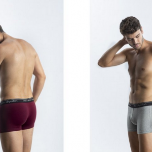 PACK 2 CALZONCILLOS BOXER LISOS